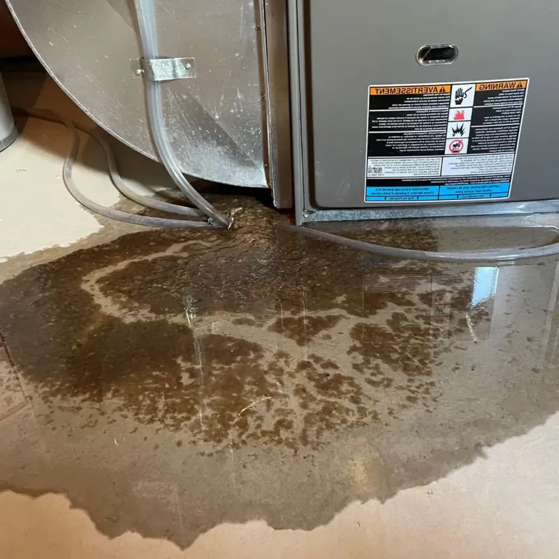 Pipe Burst and Leak Restoration in Floyd County, KY