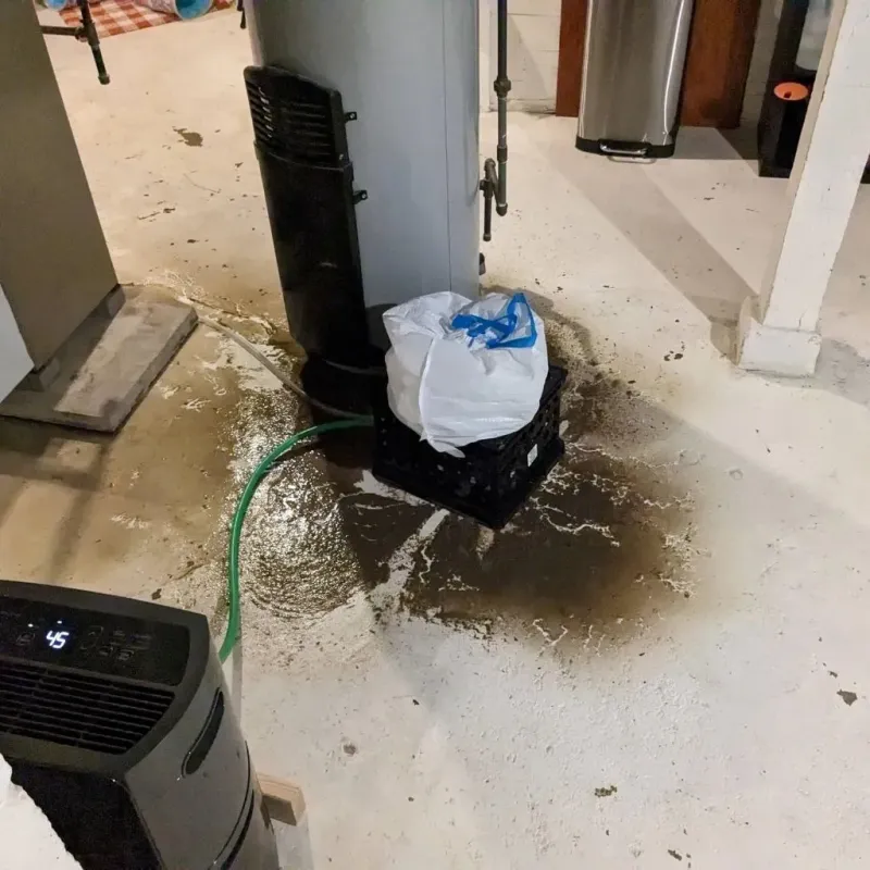 Sewage Backup Cleanup Service in Floyd County, KY